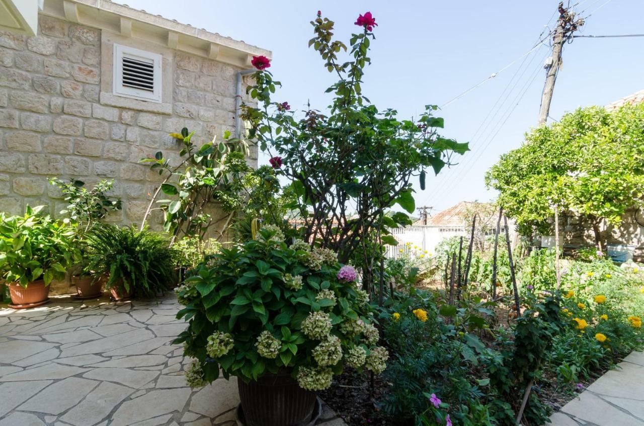 Apartments Bozica Ντουμπρόβνικ Εξωτερικό φωτογραφία